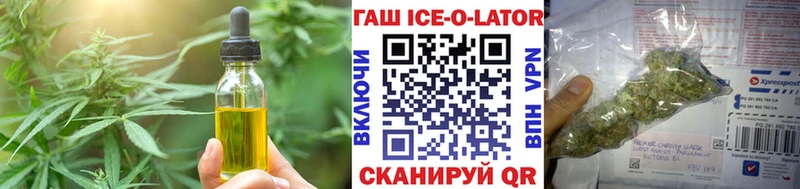 Купить закладки  Злынка  Cannafood марихуана 
