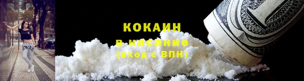 шишки Заводоуковск
