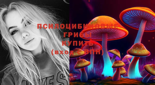 шишки Заводоуковск