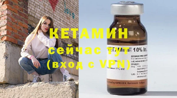 шишки Заводоуковск