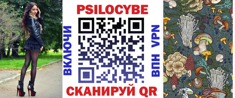 Купить где  Злынка  Псилоцибиновые грибы Cubensis 